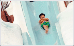 Walt Disney World Blizzard Beach Water Park Attractions